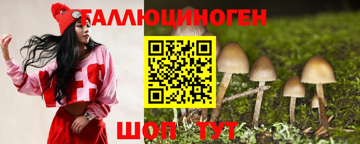 Псилоцибиновые грибы GOLDEN TEACHER  Вход с VPN  Ялуторовск 